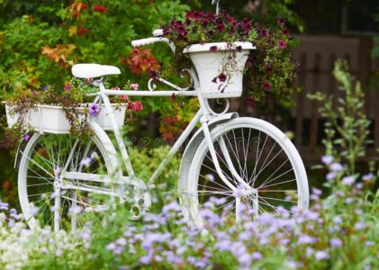 Fahrräder in Kleingärten